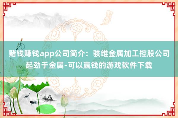 赌钱赚钱app公司简介：骇维金属加工控股公司起劲于金属-可以赢钱的游戏软件下载