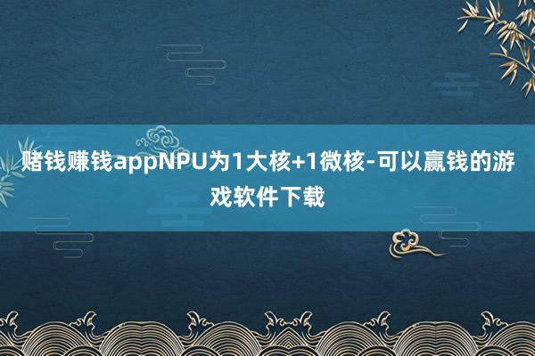 赌钱赚钱appNPU为1大核+1微核-可以赢钱的游戏软件下载